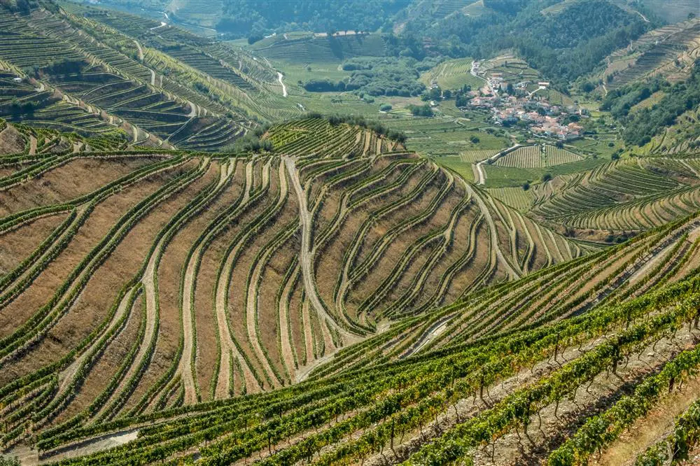 Vinhos de Portugal